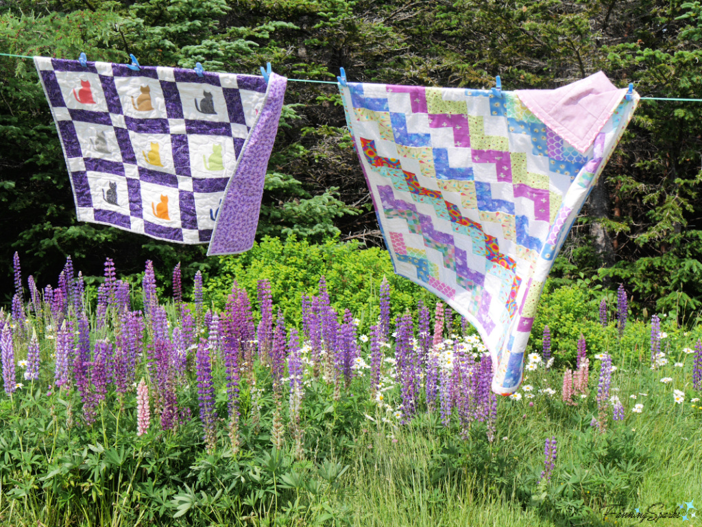 Two Quilts on Clothesline in Port Union Newfoundland   @FanningSparks