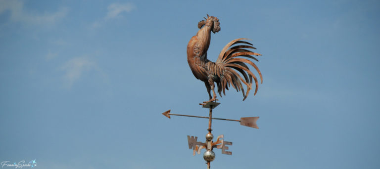 Rooster Weather Vane at St Johns Tavern in Crystal River Florida @FanningSparks