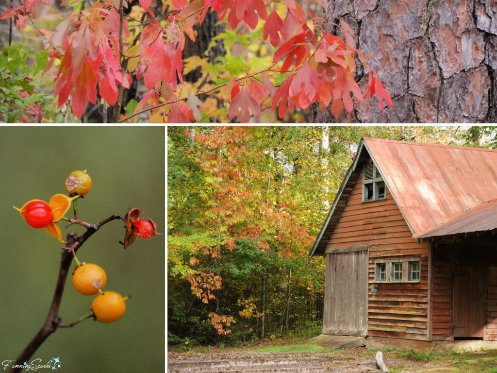 Fall Colors at John J Campbell Folk School   @FanningSparks