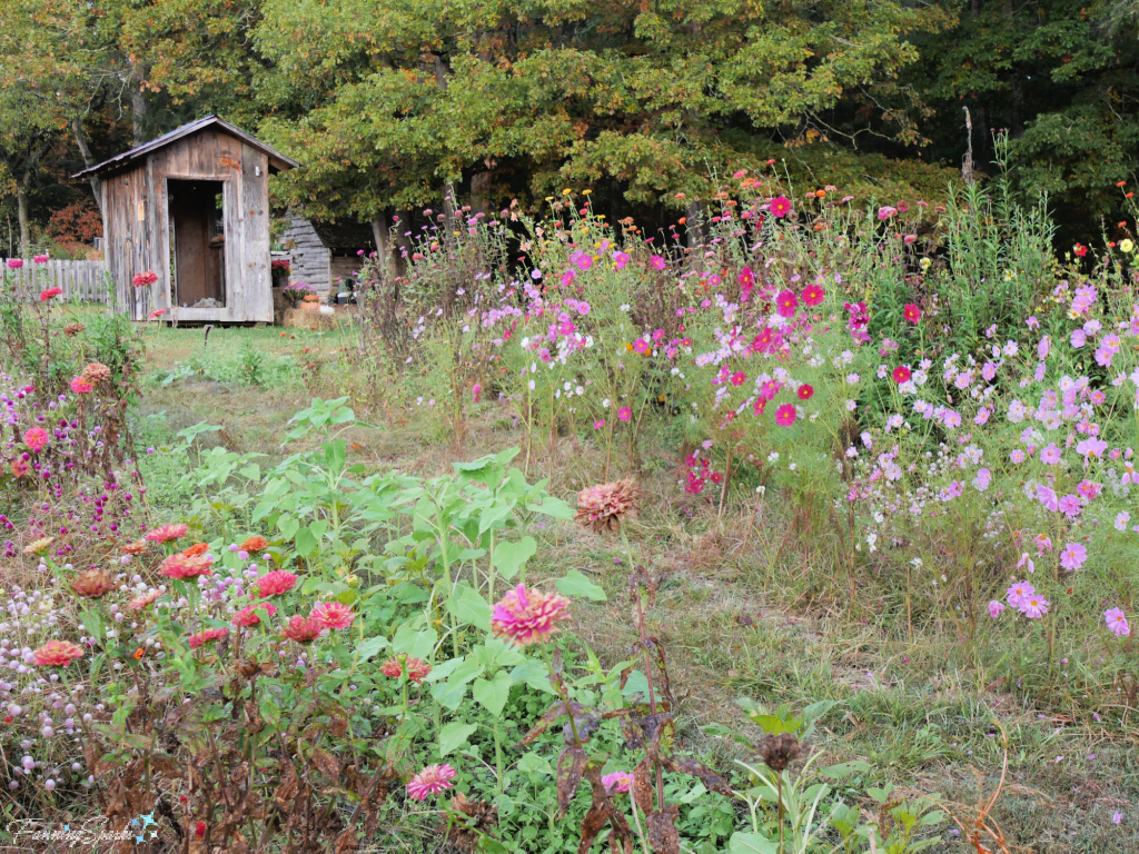 Flower Gardens at John C Campbell Folk School   @FanningSparks