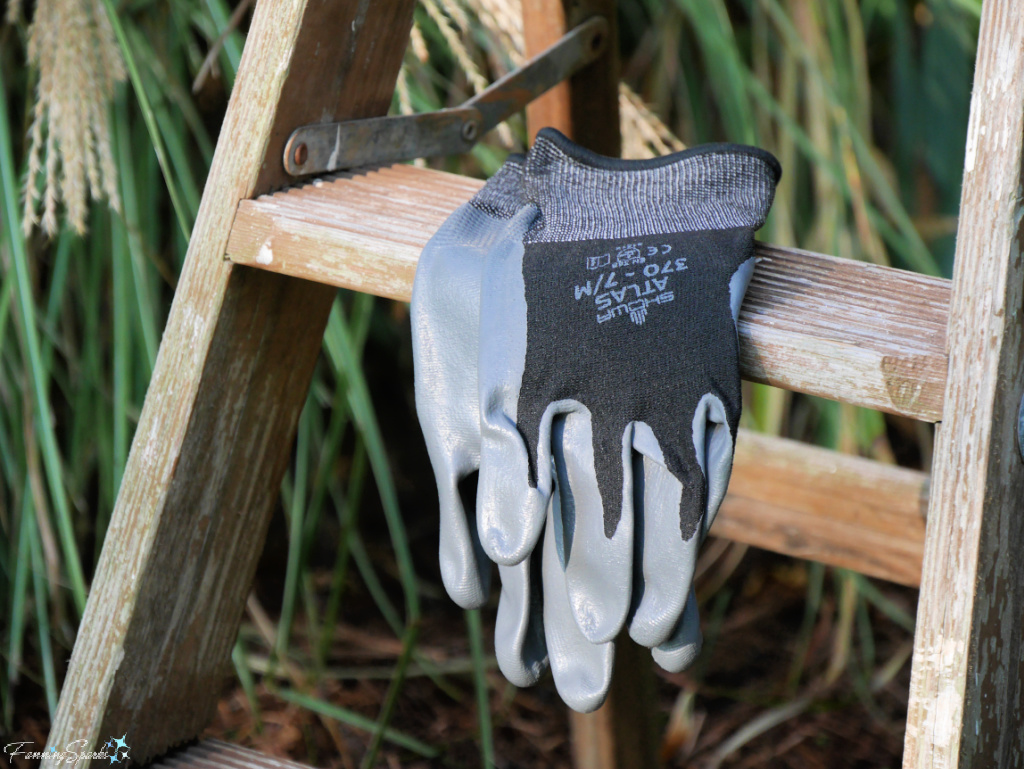 My Favorite Gardening Gloves on Step Stool   @FanningSparks