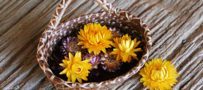 My Little Show Off Pine Needle Basket with Strawflowers @FanningSparks