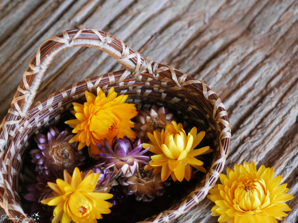 My Little Show Off Pine Needle Basket with Strawflowers   @FanningSparks