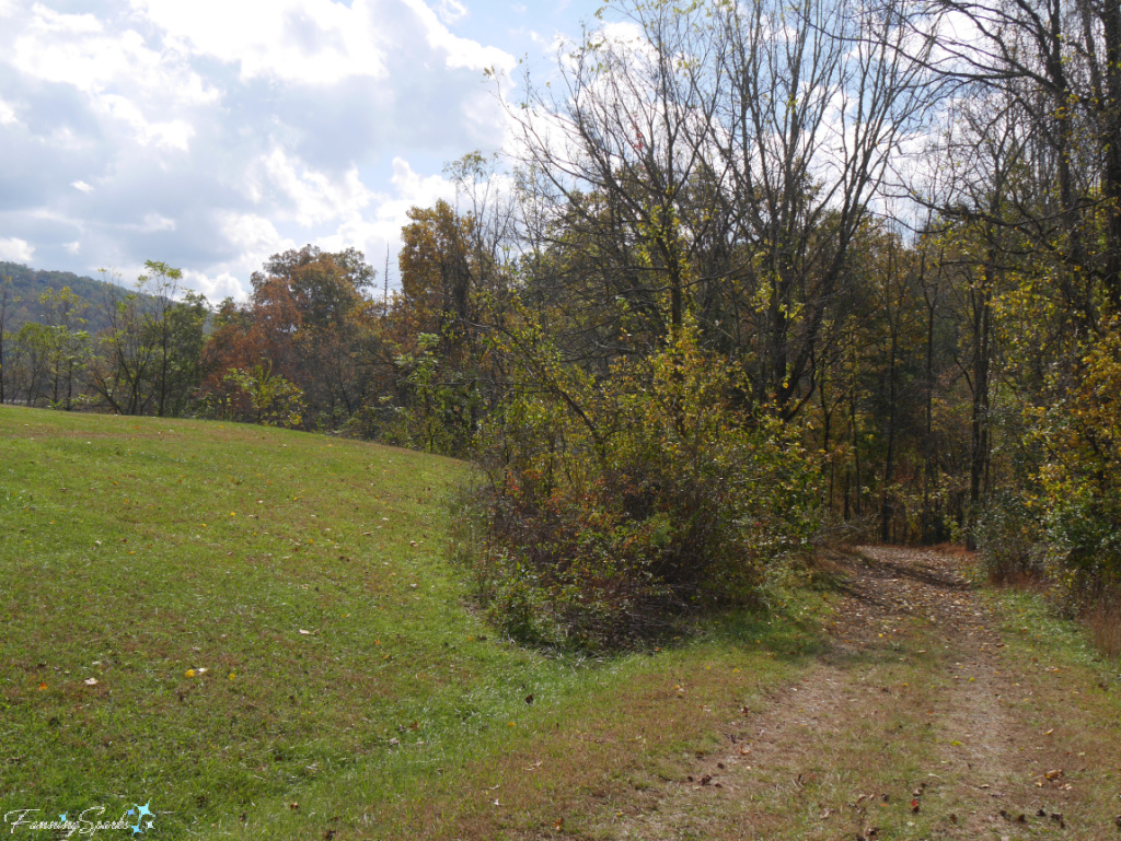 Path to Blacksmith Shop at John J Campbell Folk School   @FanningSparks