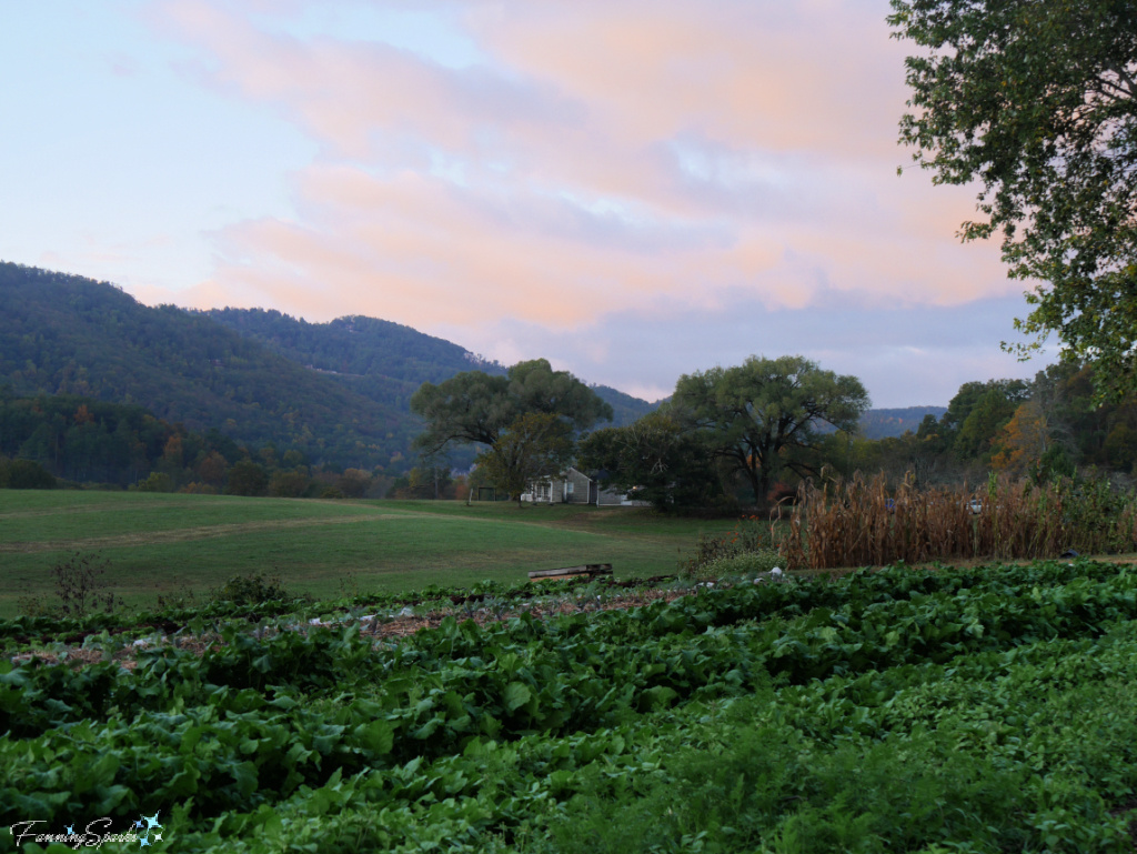 View Over Gardens at John C Campbell Folk School   @FanningSparks