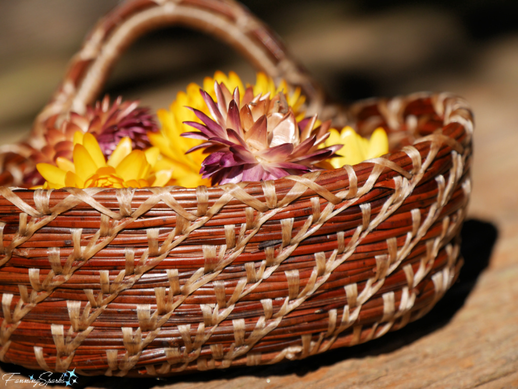 Wheat Stitches on My Little Show Off Pine Needle Basket    @FanningSparks