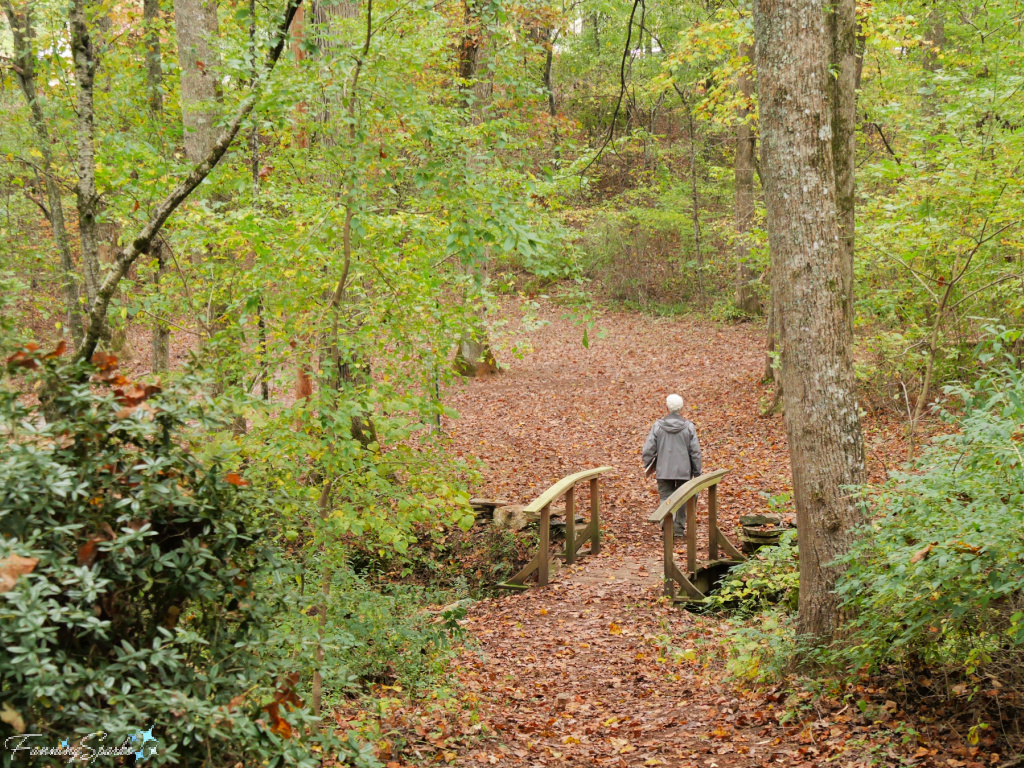 Wooded Path at John C Campbell Folk School   @FanningSparks