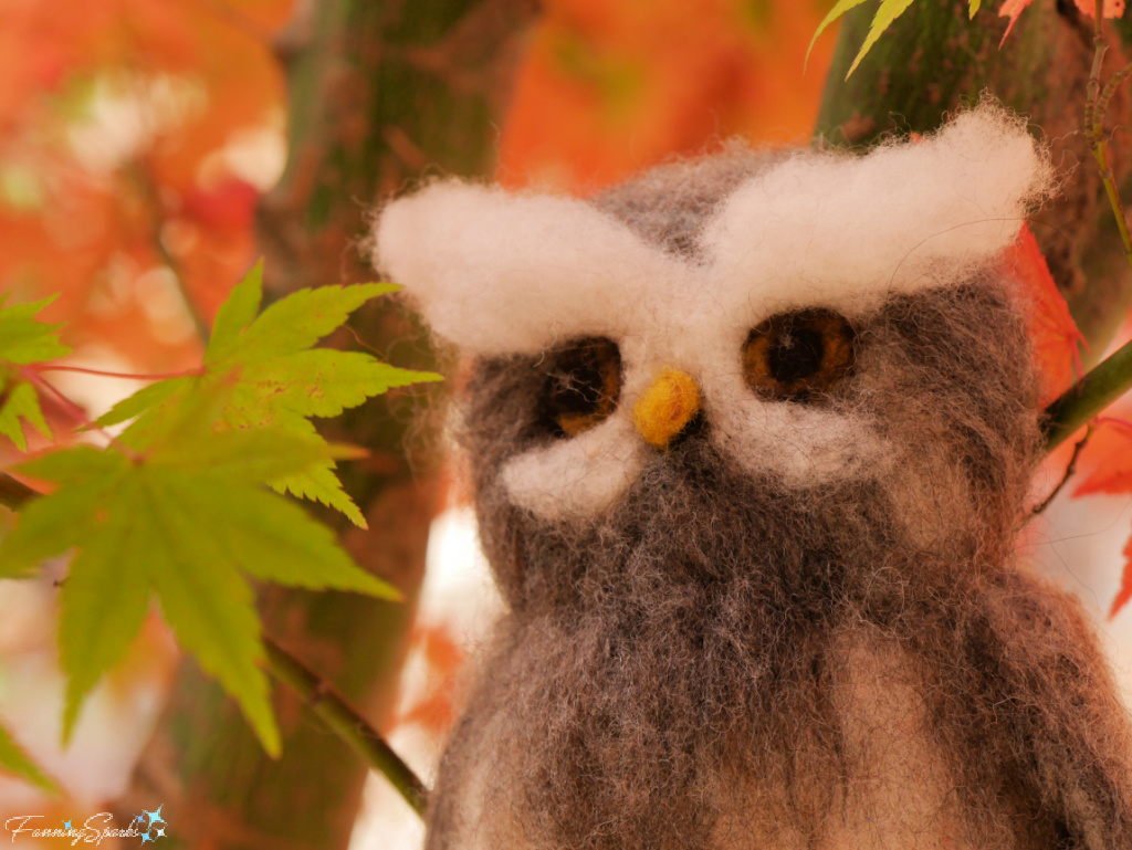 Needle Felted White Brows Owl by Jodie Graham   @FanningSparks