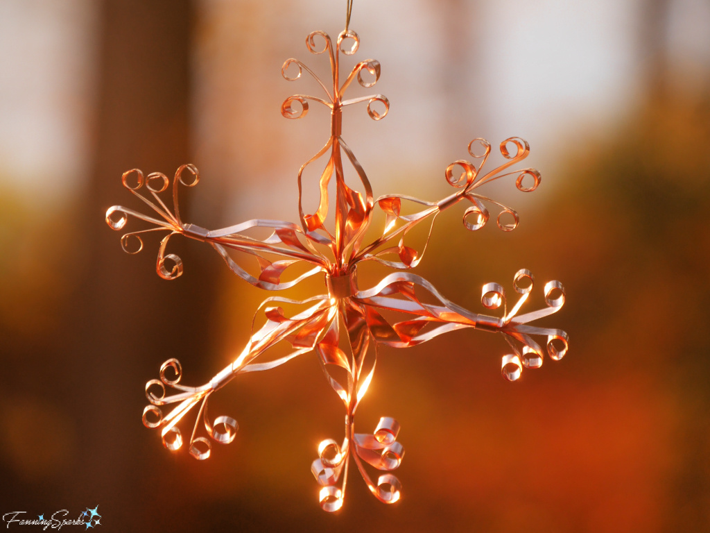 Curly Copper Snowflake in Morning Sunshine   @FanningSparks