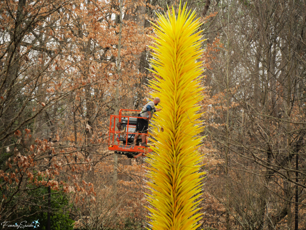 Worker Cleans Chihuly Glass Sculpture at Atlanta Botanical Garden   @FanningSparks