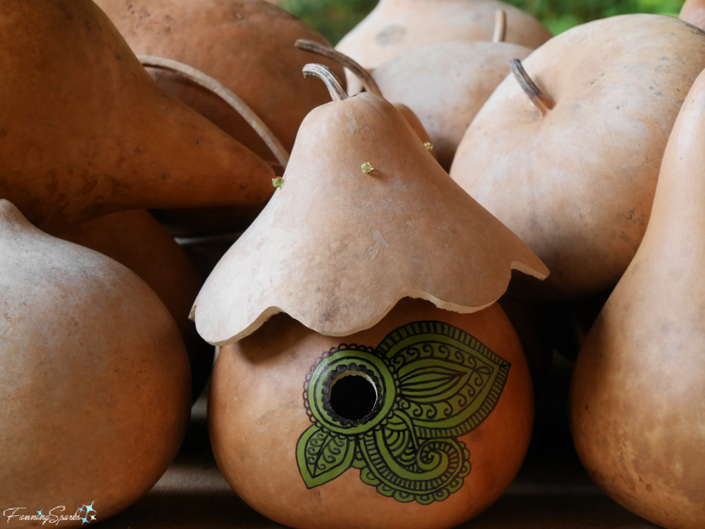 Chickadee Gourd Nest Box with Gourds   @FanningSparks