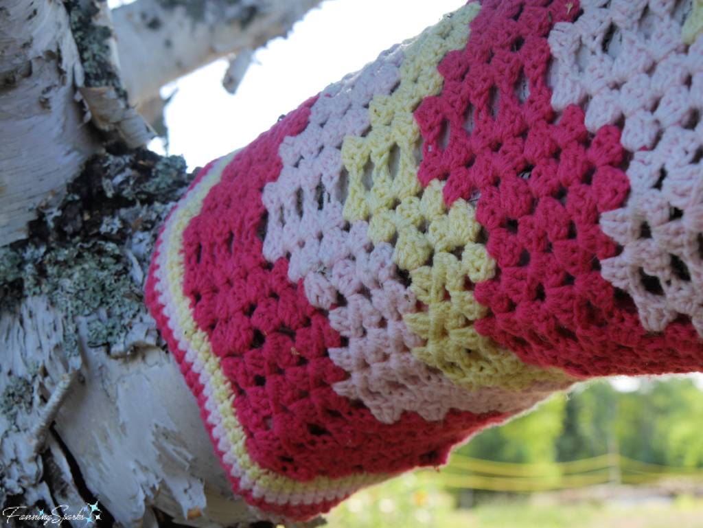 Closeup of Yarn Bombed Tree at Sisterhood Fibers in Tatamagouche Nova Scotia   @FanningSparks   