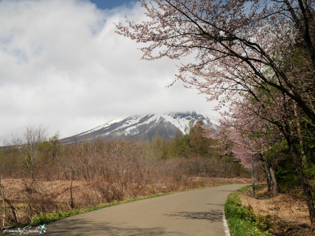 Clouds Cover Peak of Mount Iwaki in Japan   @FanningSparks   