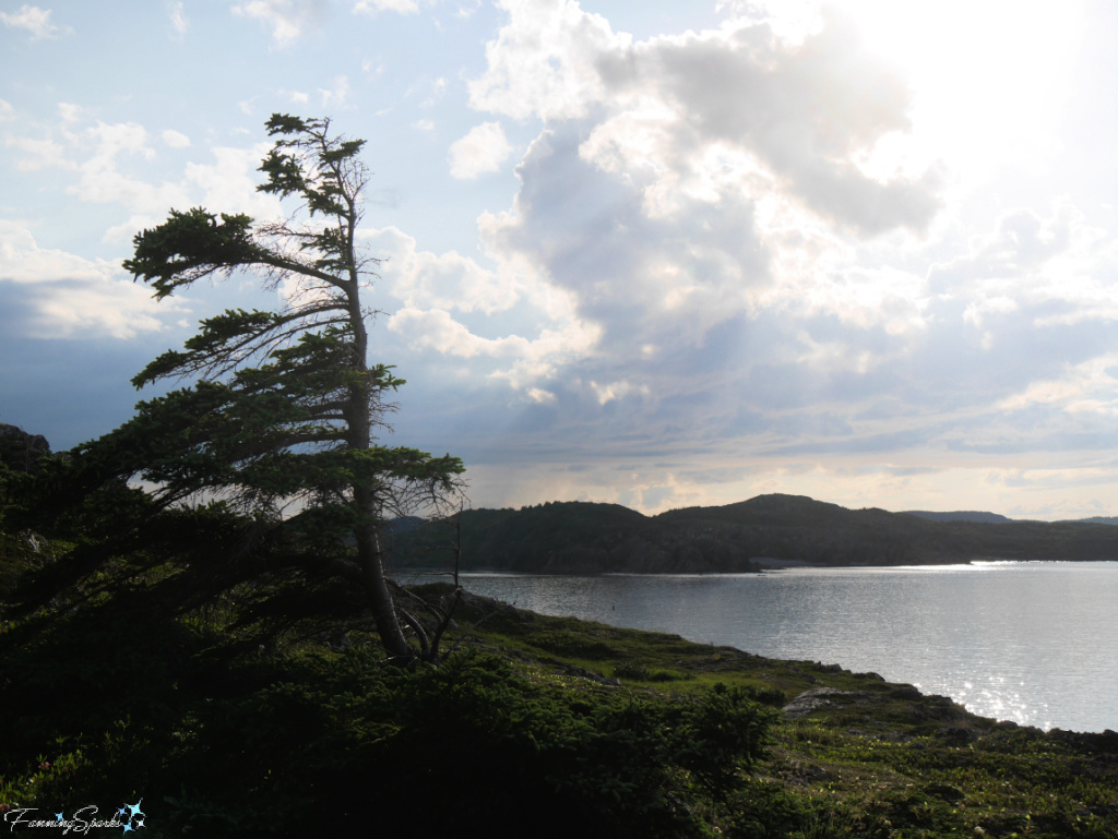 Dramatic Sky Near Twillingate Newfoundland   @FanningSparks   