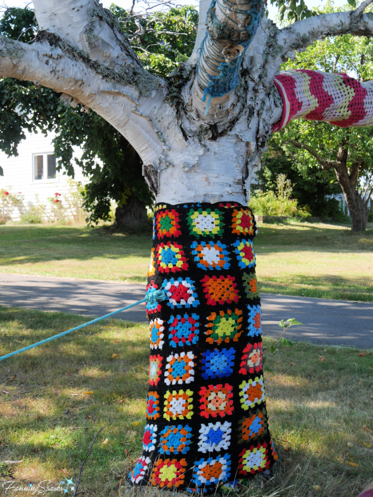 Yarn Bombed Tree at Sisterhood Fibers in Tatamagouche Nova Scotia   @FanningSparks   