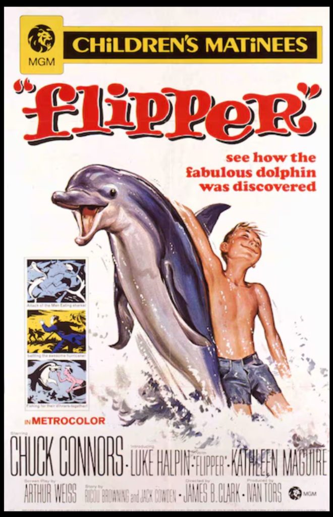 1963 Flipper Movie Poster from Turner Classic Movies   