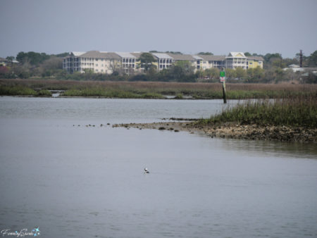 In Search Of Wild Bottlenose Dolphins – FanningSparks