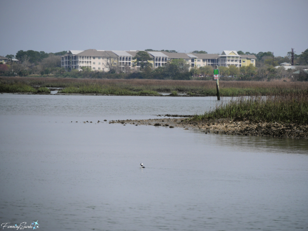 View from Nature Boat Tour on Broad Creek SC   @FanningSparks