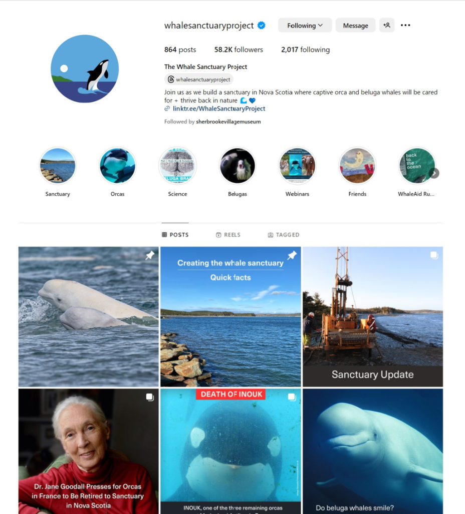 Whale Sanctuary Project Instagram Screenshot – April 2024   