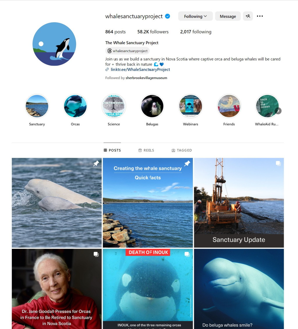 In Search Of Wild Bottlenose Dolphins – FanningSparks