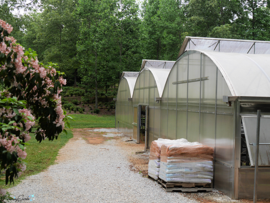 Greenhouse at Table Rock Tea Company   @FanningSparks