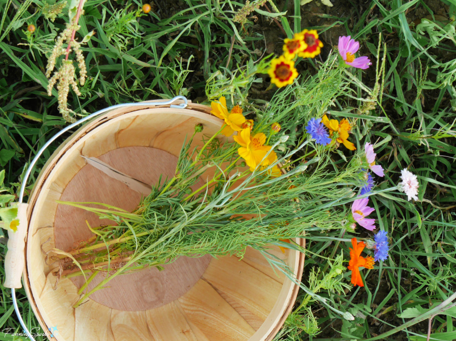 Basket of Cut Wildflowers at Big Hart Farm    @FanningSparks