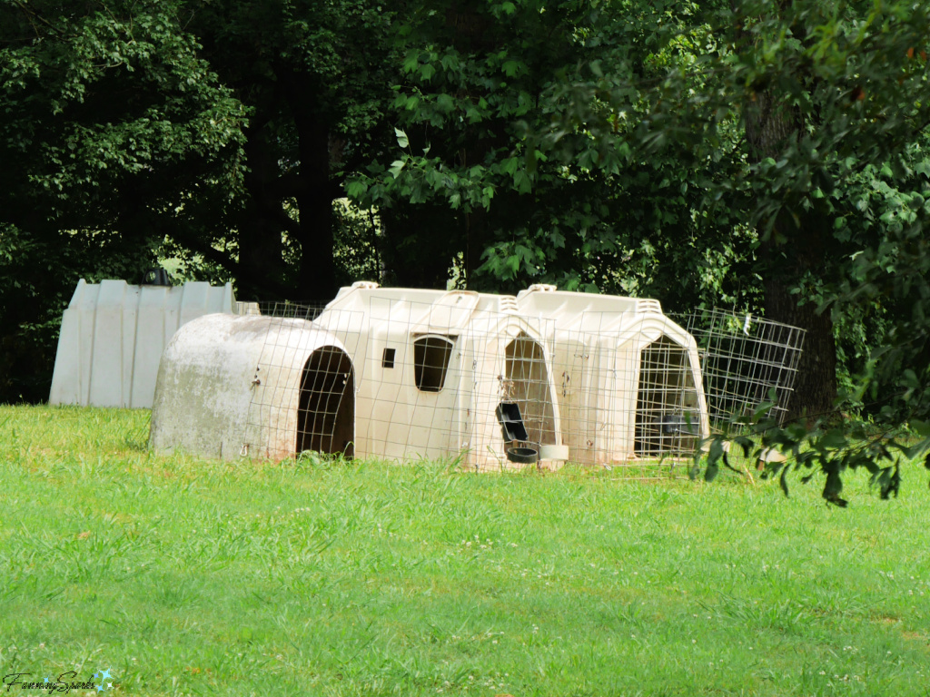 Calf Hutches at Rock House Farm   @FanningSparks