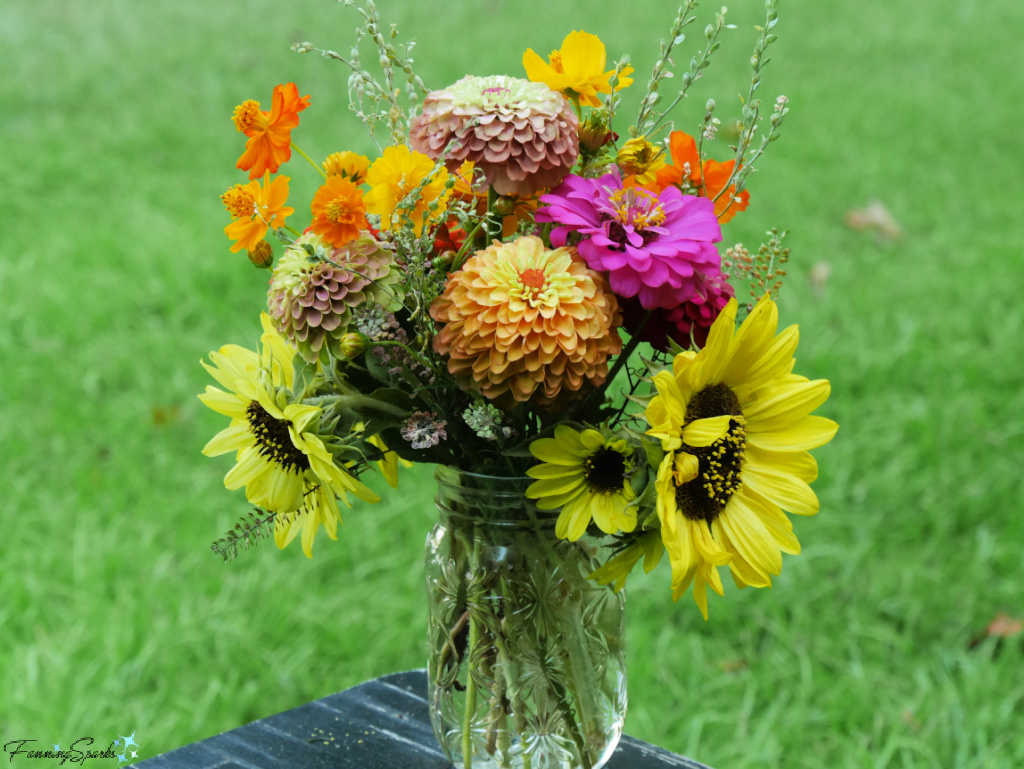 Casual Bouquet of Zinnias and Sunflowers at Big Hart Farm   @FanningSparks