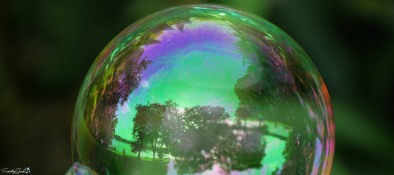 Iridescent Bubble 133 with Reflected Landscape @FanningSparks