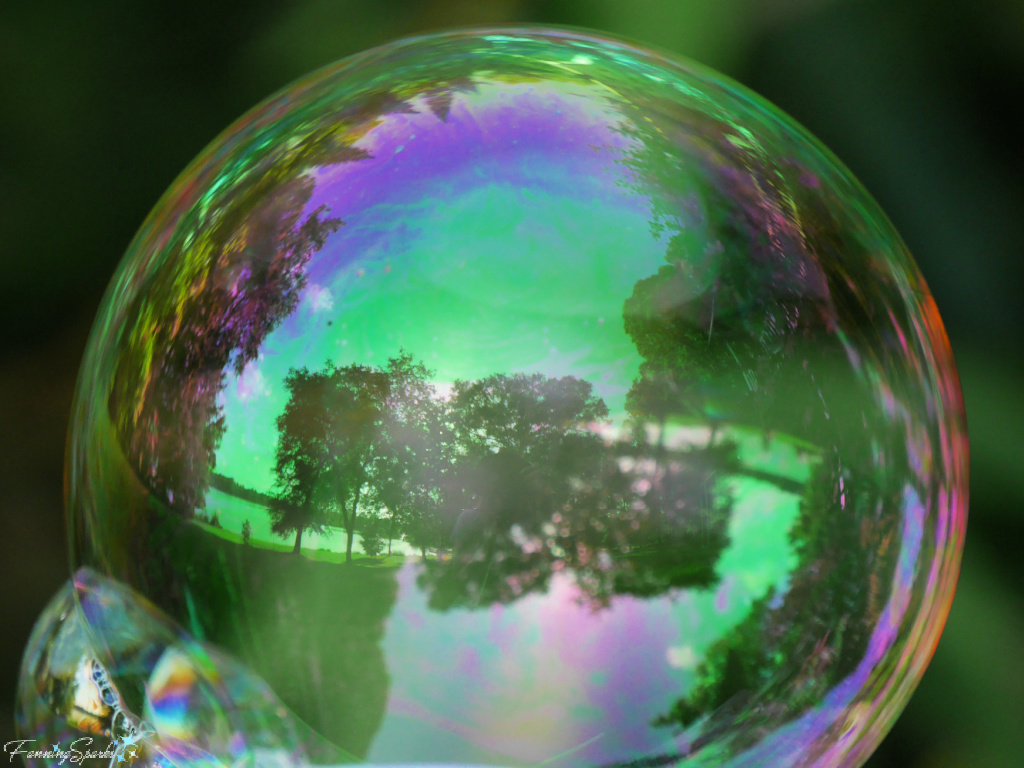 Iridescent Bubble 133 with Reflected Landscape   @FanningSparks