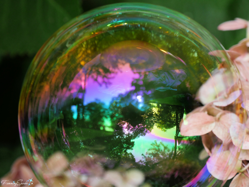 Iridescent Bubble with Pink Hydrangeas   @FanningSparks