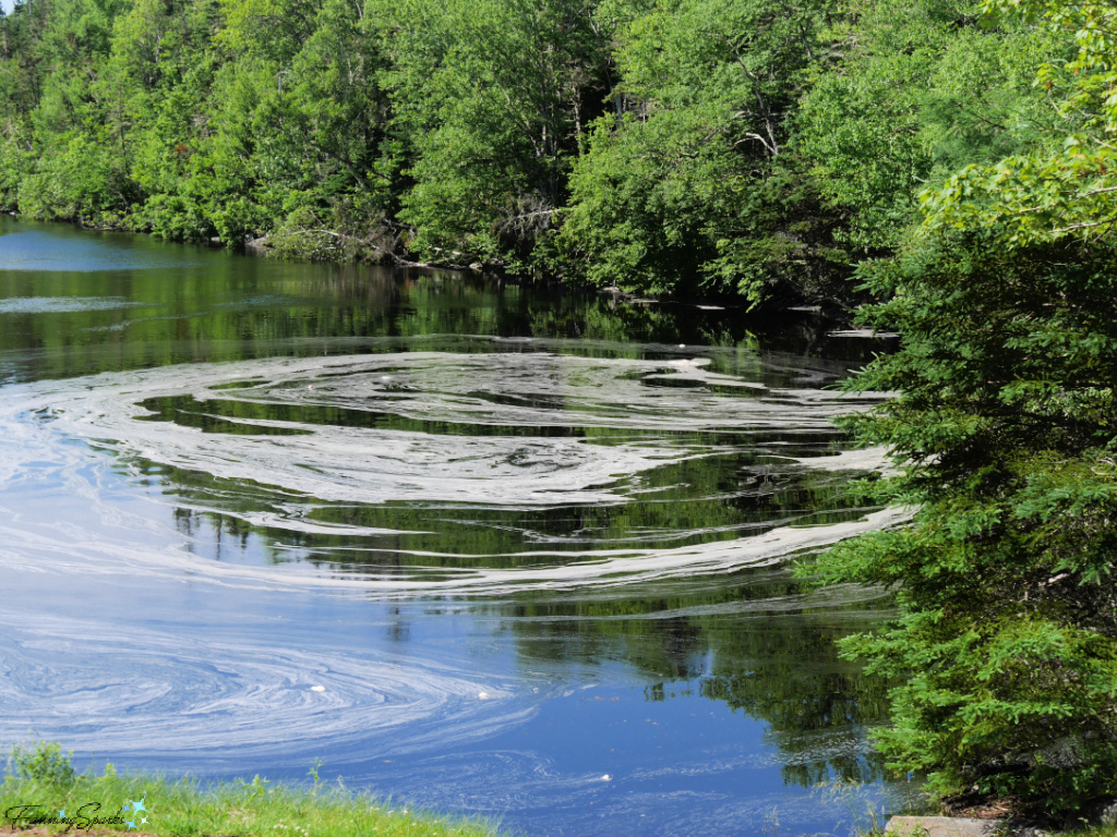 Stream Foam Circle on Liscombe River in Nova Scotia   @FanningSparks