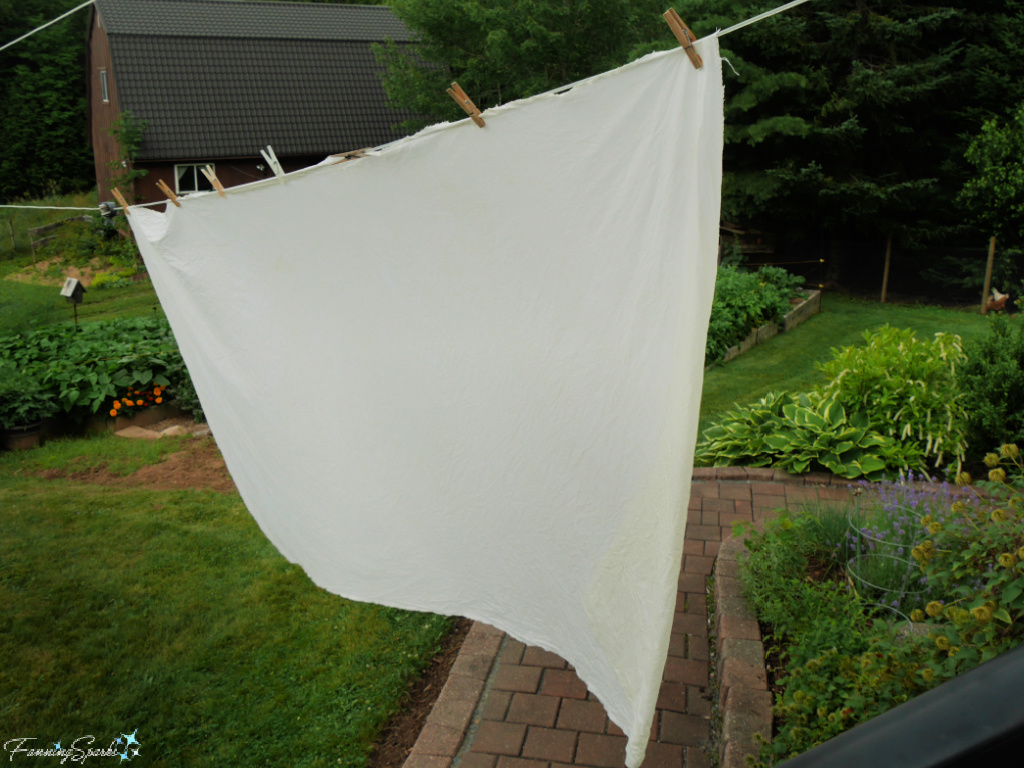 Drying Cotton Fabric to Mordant   @FanningSparks