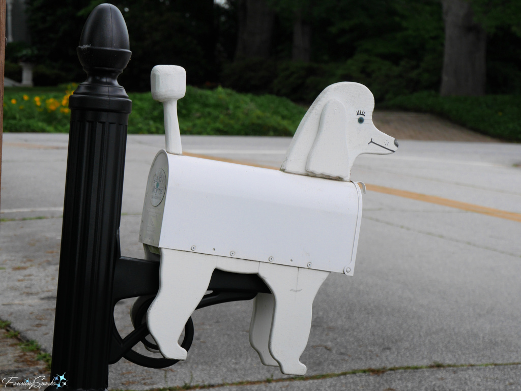 Eileen’s Grooming Poodle Mailbox Facing Right in South Carolina   @FanningSparks