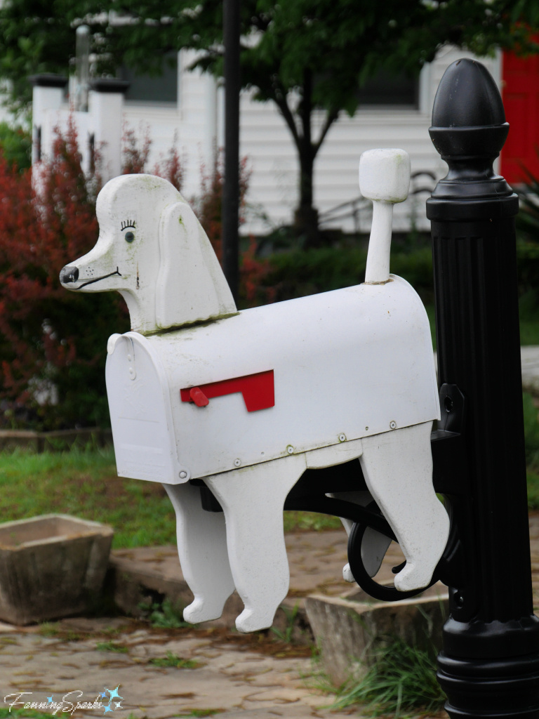 Eileen’s Grooming Poodle Mailbox Facing Left in South Carolina   @FanningSparks