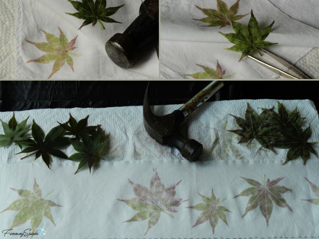 Hammering Japanese Maple Leaves onto Cotton Fabric   @FanningSparks