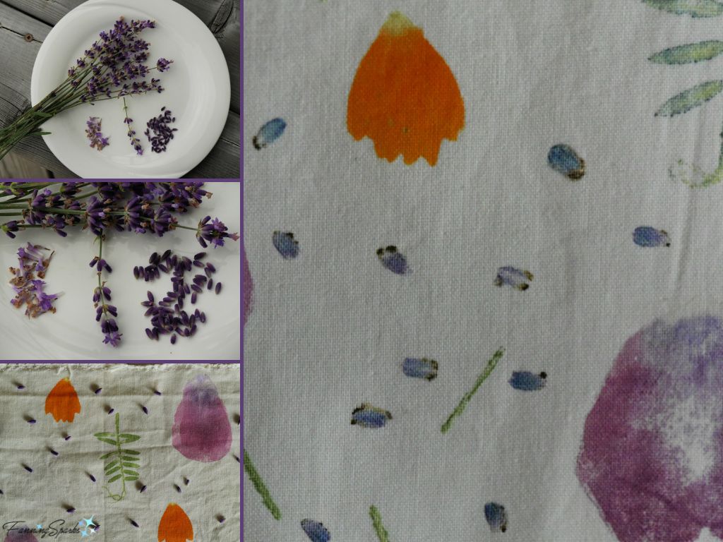 Hammering Lavender onto Cotton Fabric   @FanningSparks