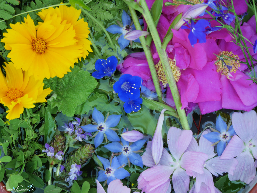 Lovely Selection of Natural Elements for Flower Hammering    @FanningSparks