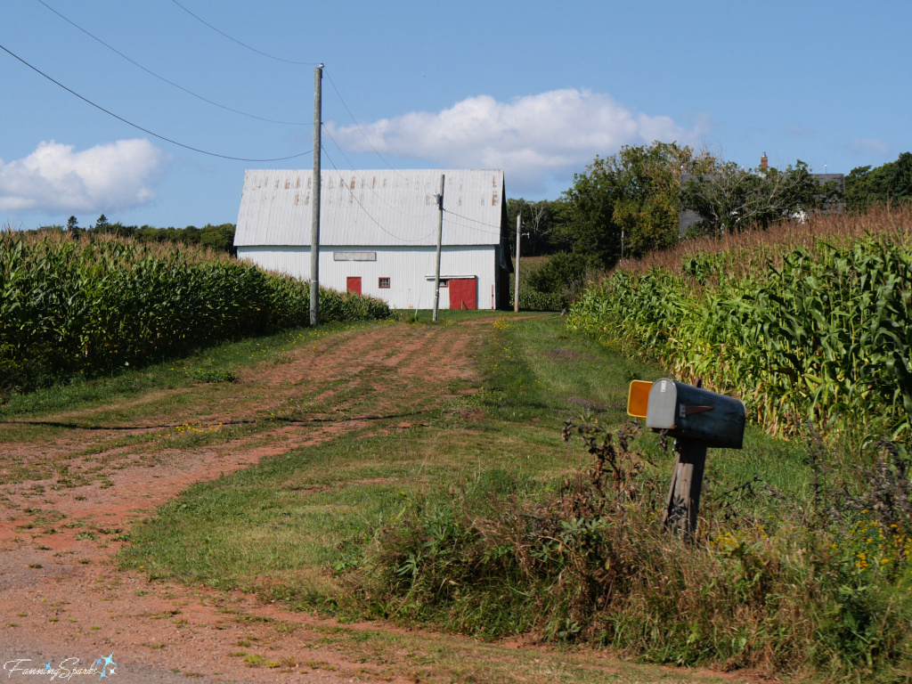 Mailbox at End of Country Driveway in Prince Edward Island   @FanningSparks