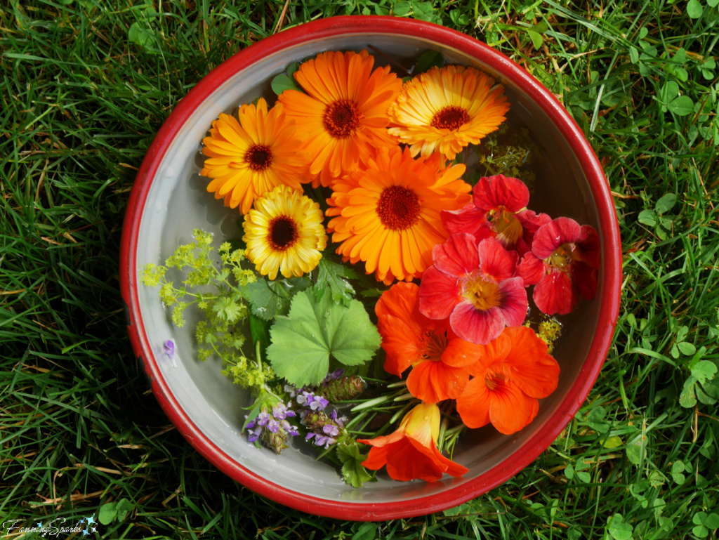 Orange and Green Natural Elements for Flower Hammering    @FanningSparks