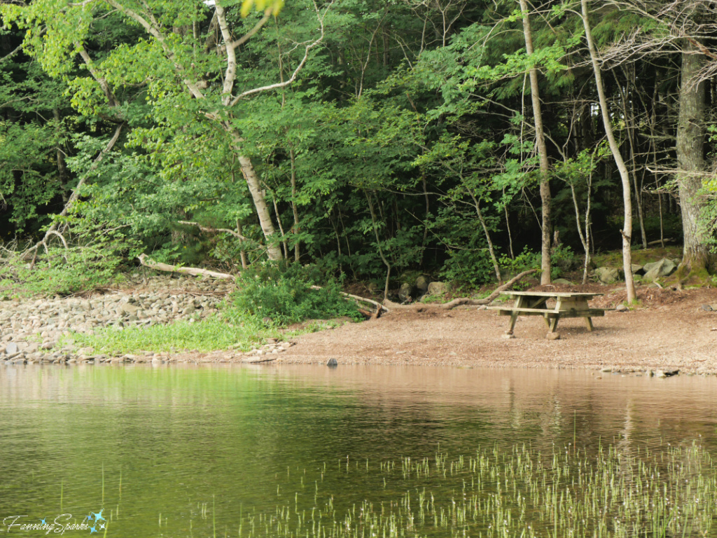 Picnic Table at Waters Edge in Oakfield Park Nova Scotia   @FanningSparks