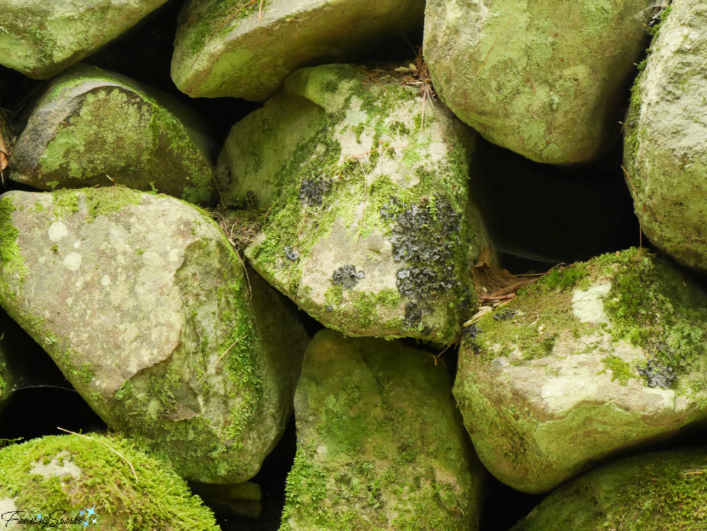 Rocks in Traditional Farmers Rock Wall in Oakfield Park Nova Scotia   @FanningSparks