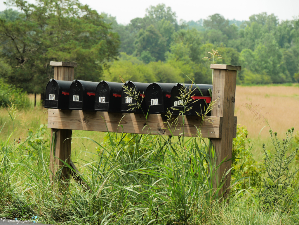 Six Mailboxes on Georgia Roadside   @FanningSparks