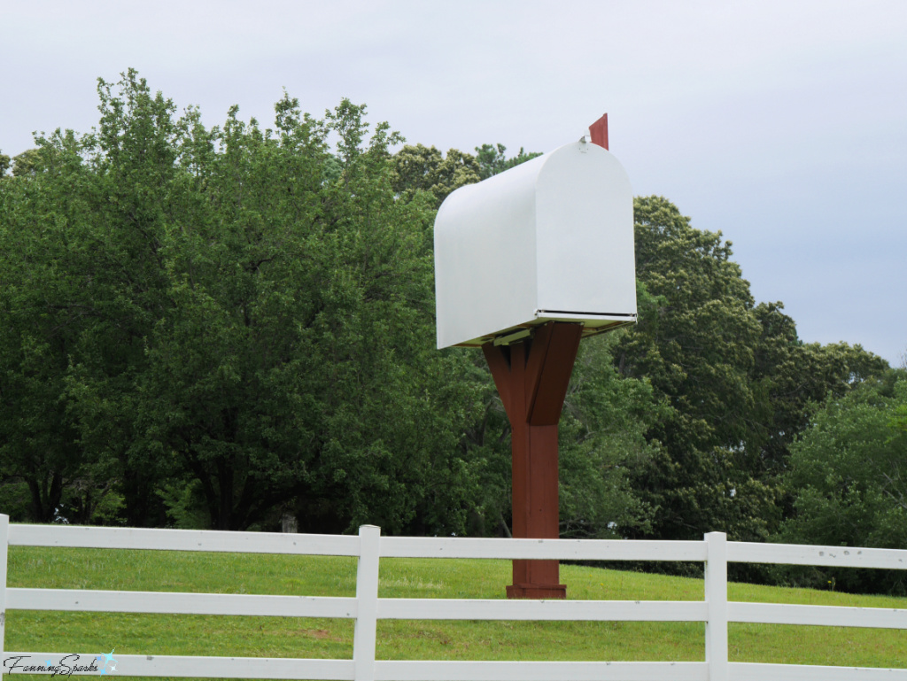 Super-sized Joroleman Design Mailbox in Georgia   @FanningSparks