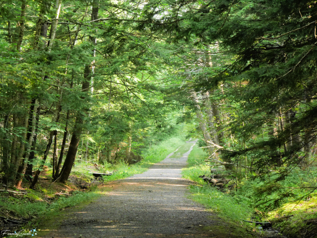 Walking Trail Through Oakfield Park Nova Scotia 1   @FanningSparks