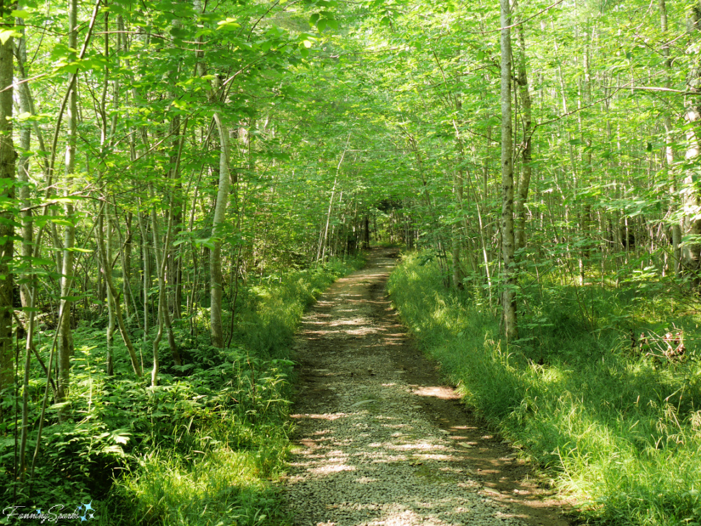 Walking Trail Through Oakfield Park Nova Scotia 3   @FanningSparks