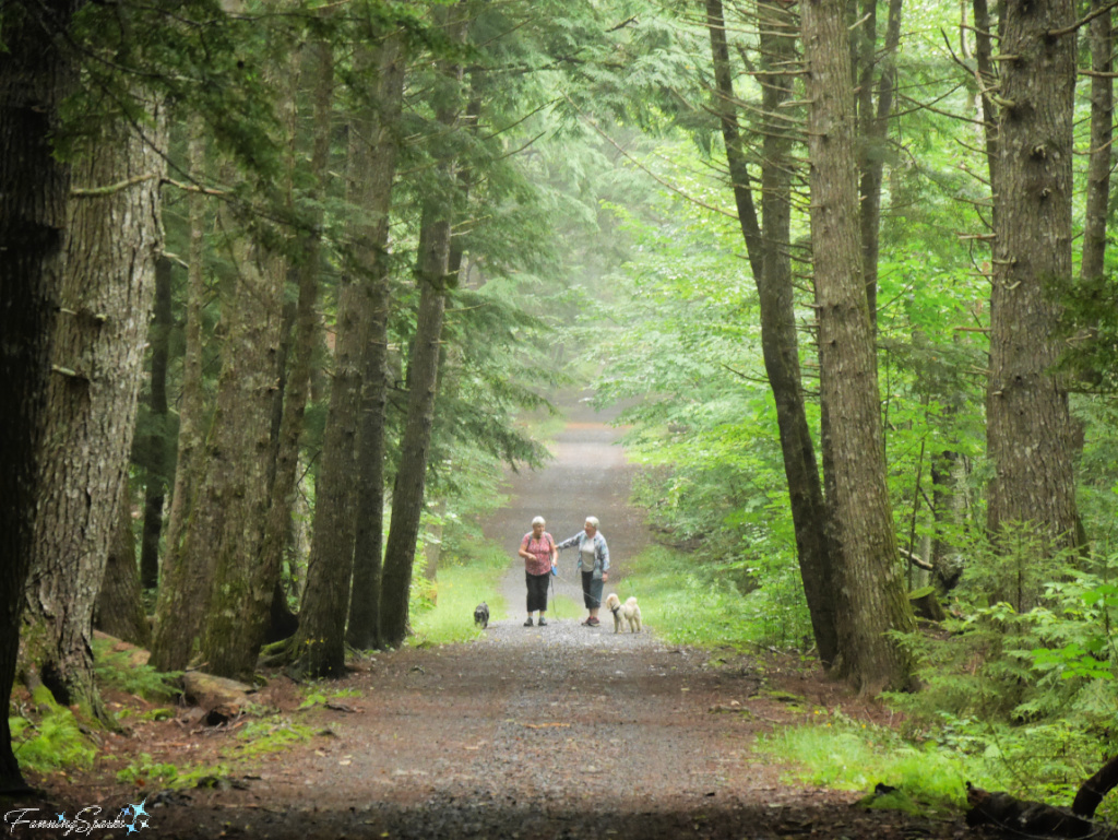 Women Walking Their Dogs in Oakfield Park Nova Scotia   @FanningSparks