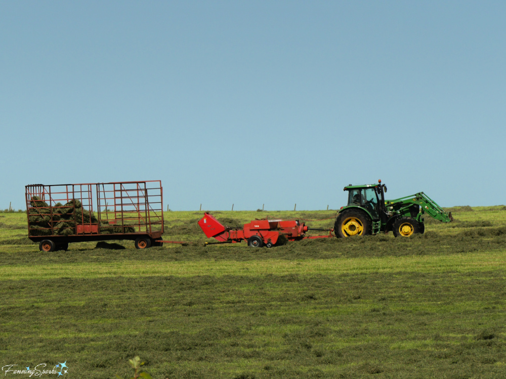 Farmer Baling Hay in Nova Scotia   @FanningSparks