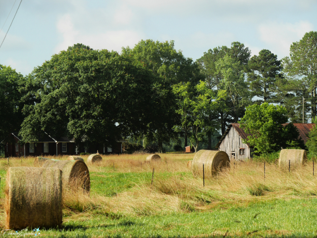 Hay Bales and Old Outbuilding in Newborn Georgia  @FanningSparks 