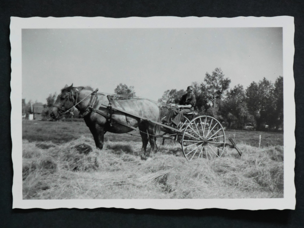 Joe Verboom Drives Work Horse in Moordrecht Netherlands   @FanningSparks